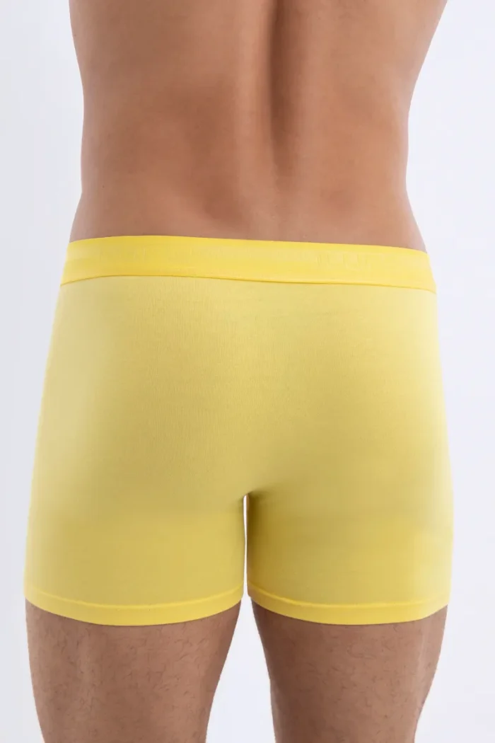 Cueca Lupo Boxer Algodão Amarela - Image 2